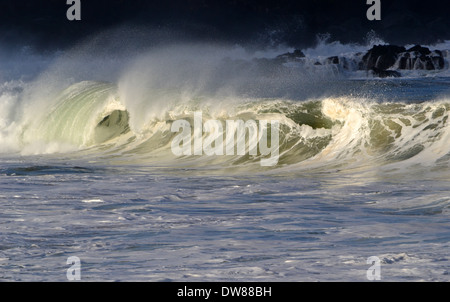 Riesige Wellen brechen an der Waimea Bay, nördlich von Oahu, Hawaii, USA Stockfoto