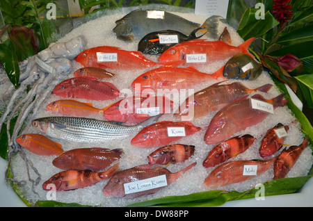 Eine Vielzahl von hawaiianischen Fische auf Verkauf, Hawaii Seafood Festival, Oahu, Hawaii, USA Stockfoto