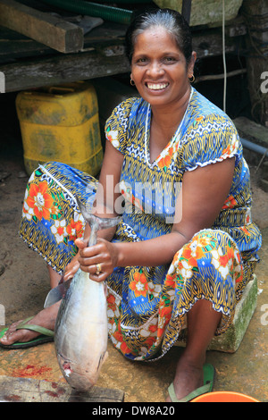 Sri Lanka, Aluthgama, Fischmarkt, Stockfoto