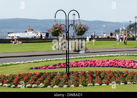 Sommer hängende Körbe und Blumenschmuck in der Küstenstadt Largs in North Ayrshire, Schottland, Großbritannien Stockfoto