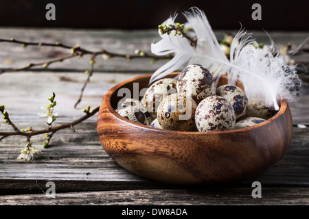 Holzschale von Wachteleiern mit Blüte Zweig über alten hölzernen Hintergrund Stockfoto