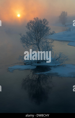 Kokshi Fluss. Winter-Sonnenaufgang. Altai. Sibirien-Russland Stockfoto