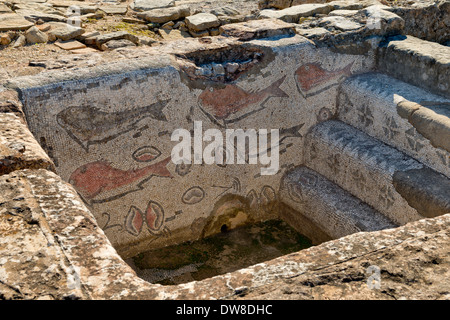 Römische Ausgrabungsstätte an Milréu, Estoi, Algarve, Portugal. Die Mosaiken der Fische im frigidarium Badewanne Stockfoto