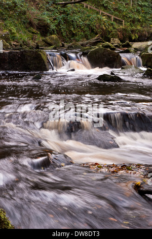 Mallyan Auslauf und West Beck, Goathland, North Yorkshire Stockfoto