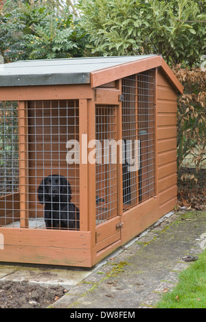 Ein schwarzer Cocker Spaniel Hund und eine hölzerne Hundehütte außerhalb in einem Garten in England, UK Stockfoto