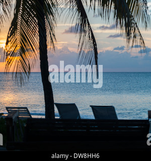 Einen Sonnenuntergang zeigt eine Palme Baum und Liegestühle am Strand am westlichen Ende der St. Croix, U.s. Virgin Islands entnommen Stockfoto