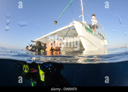 Scuba Diver bereitet, für einen Tauchgang, Honolulu, Oahu, Hawaii, USA steigen Stockfoto