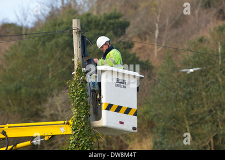 Ein BT-Telefon-Ingenieur arbeitet an einem Telefonmast. Stockfoto