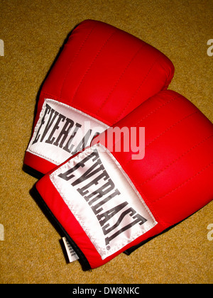 Paar Everlast Boxhandschuhe Stockfoto