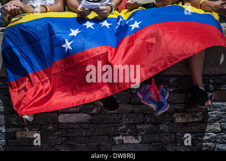 Caracas, Venezuela. 3. März 2014. Demonstranten fallen bei einem Protest gegen die Regierung in Caracas, Venezuela, am 3. März 2014 mit einer Nationalflagge von Venezuela. Bildnachweis: Boris Vergara/Xinhua/Alamy Live-Nachrichten Stockfoto