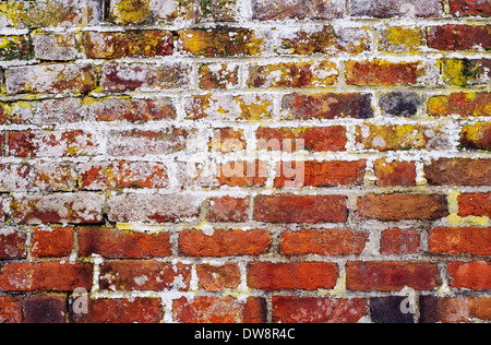 Detail der alten roten Backsteinmauer Stockfoto