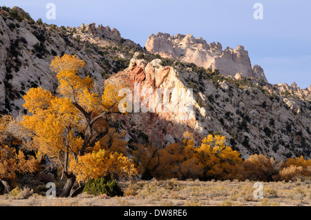 Cottonwood Bäume säumen Cottonwood Creek, Cottonwood Canyon rock-Formation The Castle in den Rücken Stockfoto