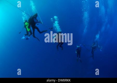 Taucher, die an einem Seil, Honolulu, Oahu, Hawaii, USA Stockfoto