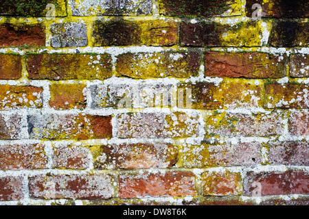 Detail der alten roten Backsteinmauer Stockfoto
