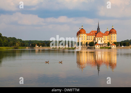 Schloss Moritzburg (Schloss Moritzburg) in der Nähe von Dresden in Deutschland Stockfoto