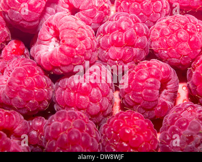 close up image of fresh raspberries. Stockfoto