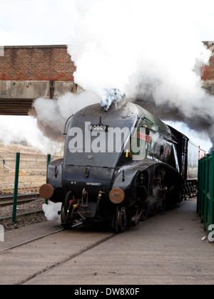 Klasse A4 Steam Locomotive "Union of South Africa" unter Dampf bei der Stockente 75 Versammlung, Eisenbahnmuseum Shildon Stockfoto