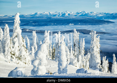 Verschneite Bäume auf Silver Star Mountain, Britisch-Kolumbien, Kanada, mit Monashee Berge in der Ferne. Stockfoto