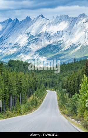 Icefields Parkway, Jasper Nationalpark, Alberta, Kanada. Stockfoto