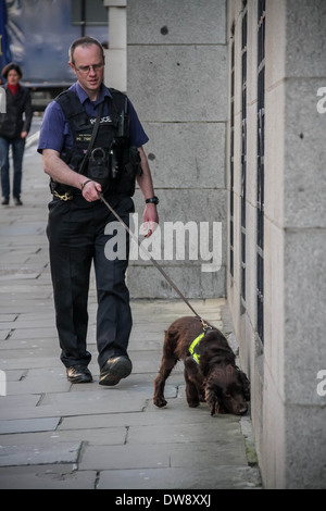 Polizei-Spürhund in Aktion vor Gericht Old Bailey in London Stockfoto