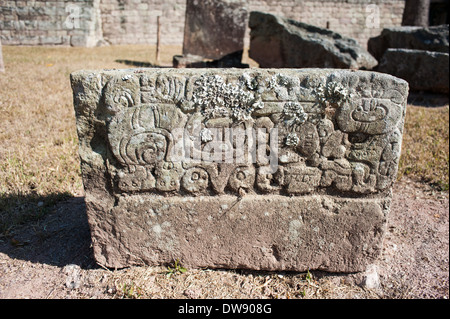 Hieroglyphen im archäologischen Park Ruinas de Copán in Honduras Stockfoto