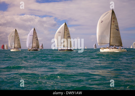 Erstklassige Boote und Segler sind jedes Jahr im Januar gezogen, um in die Acura Key West Regatta, Key West, Florida, USA konkurrieren Stockfoto