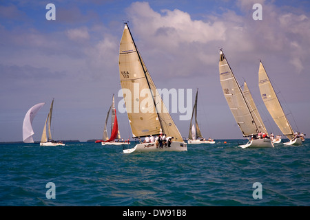 Erstklassige Boote und Segler sind jedes Jahr im Januar gezogen, um in die Acura Key West Regatta, Key West, Florida, USA konkurrieren Stockfoto