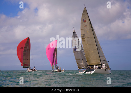 Erstklassige Boote und Segler sind jedes Jahr im Januar gezogen, um in die Acura Key West Regatta, Key West, Florida, USA konkurrieren Stockfoto