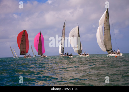 Erstklassige Boote und Segler sind jedes Jahr im Januar gezogen, um in die Acura Key West Regatta, Key West, Florida, USA konkurrieren Stockfoto