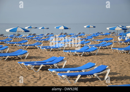 Liegestühle am Strand von Benidorm, Spanien Stockfoto