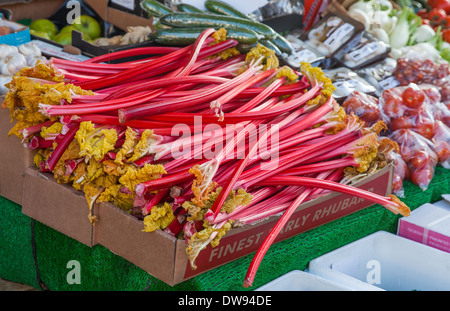 Rhabarber auf einem Marktstand Stockfoto