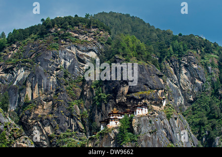 Felswand mit Palphug Kloster Taktsang oder des Tigers Nest, Taktshang, Bhutan Stockfoto