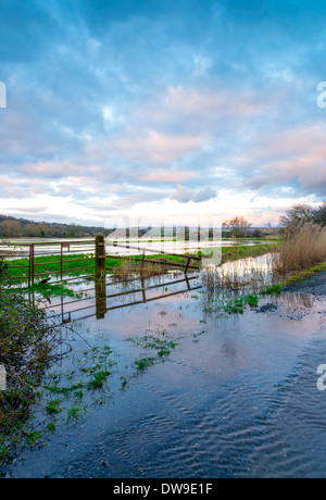 Überschwemmungen auf dem Feld bei Arundel, West Sussex, UK Stockfoto