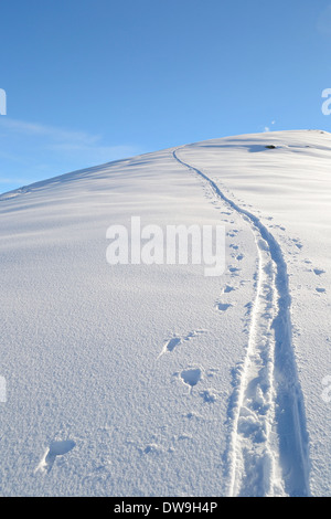 Skitouren verfolgt führt auf den Gipfel in den italienischen Alpen. Stockfoto