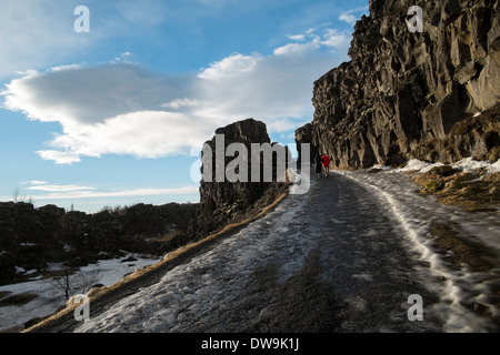 Nationalpark Thingvellir. Risse im Gestein durch die Gräben durch die germanischen Platten des Mittelatlantischen Rückens verursacht Stockfoto