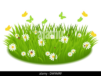 Grasgrün mit Gänseblümchen, Schmetterling und Marienkäfer Stockfoto