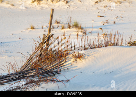 Fechten hilft Sanddünen zum Erosionsschutz am Strand von Gulf Shores, Alabama zu schaffen Stockfoto