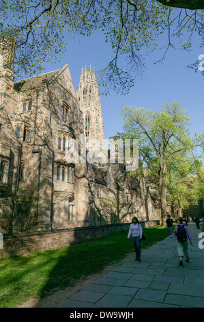 Harkness-Turm aus dem Viereck, Yale University, New Haven, Connecticut, USA. Stockfoto