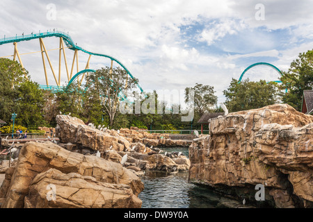 Kraken-Achterbahn ragt hinter die Pacific Point erhalten Attraktion in SeaWorld Orlando Stockfoto