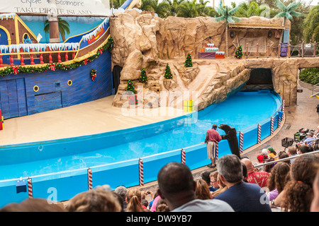 Tiertrainer, der Gäste des Parks mit Seelöwen bei der Clyde and Seamore Show in SeaWorld, Orlando, unterhält Stockfoto