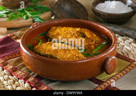Fisch-Curry Mangalore. Süd-west Indien Essen Stockfoto