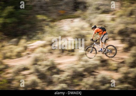 Mann-Mountainbiken auf Jacks Trail Hartman Rock Recreation Area, Gunnison, Colorado, USA Stockfoto