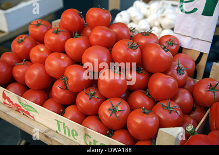 Tomaten auf Verkauf in Dublins berühmte Moore Street zu vermarkten. Irland Stockfoto