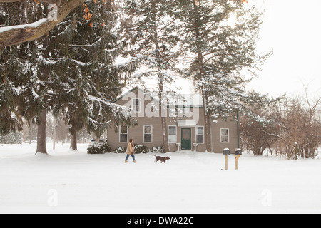 Frau zu Fuß Hund im Schnee, Petersburg, Michigan, USA Stockfoto