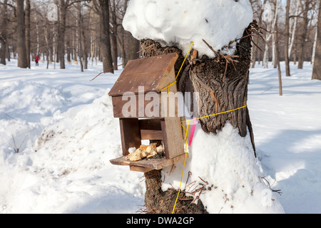 Futterhäuschen im Winter park Stockfoto