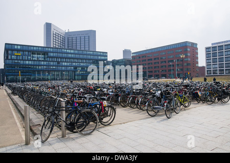 Fahrradverleih, Parkplätze in der Nähe der Station Amsterdam-Sloterdijk, Amsterdam, Niederlande Stockfoto