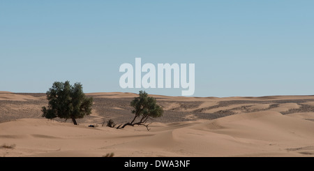 Erg Chegaga-Dünen in der Wüste Sahara, Souss-Massa-Draa, Marokko Stockfoto