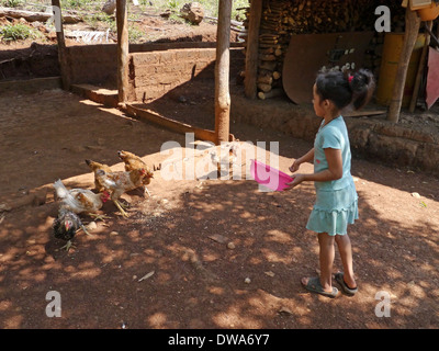 EL SALVADOR, Jujutla. Armen Bauerndorf. Mädchen, die Hühner füttern. Stockfoto