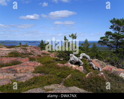Höga Kusten (hohe Küste), Västernorrlands Län, Bottnischen Meerbusen, Mjältön, Schweden Stockfoto