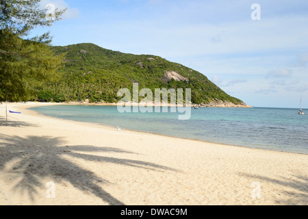 Wunderschönen tropischen Bucht mit dem Schatten der Kokospalmen am Ao Haad Khuad, Koh Phangan, Süd-Thailand. Stockfoto